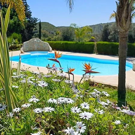 Komfortable Auf Grossem Grundstueck Mit Pool